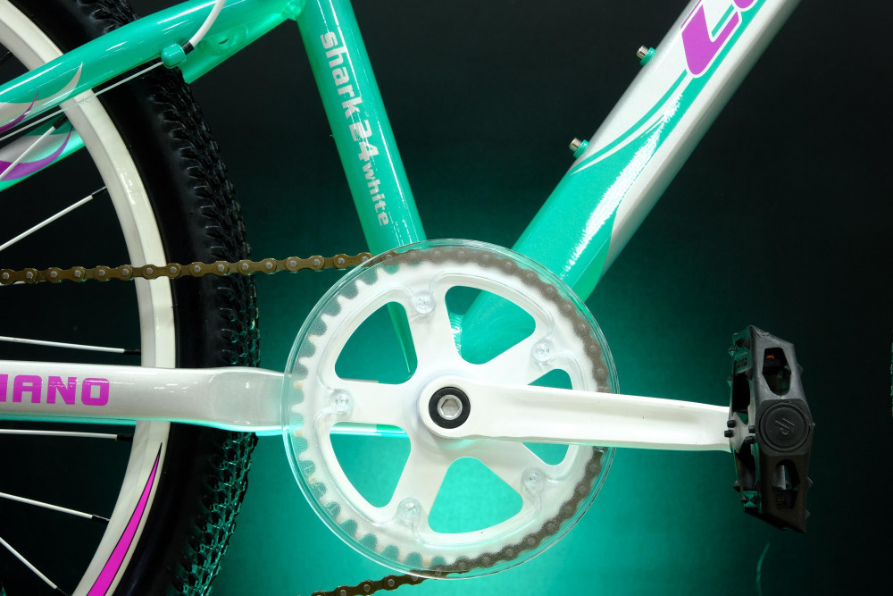 Lorak Shark 24 White Серебро/Мятный